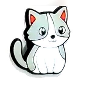 Croc or shoe charm for cat lovers